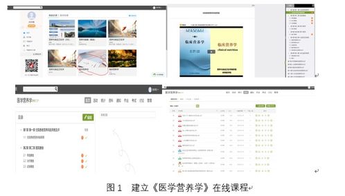 疫情防控期间线上教学典型案例系列报道 十五