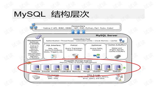 mysql基础学习文档类 mysql文档类资源 csdn下载